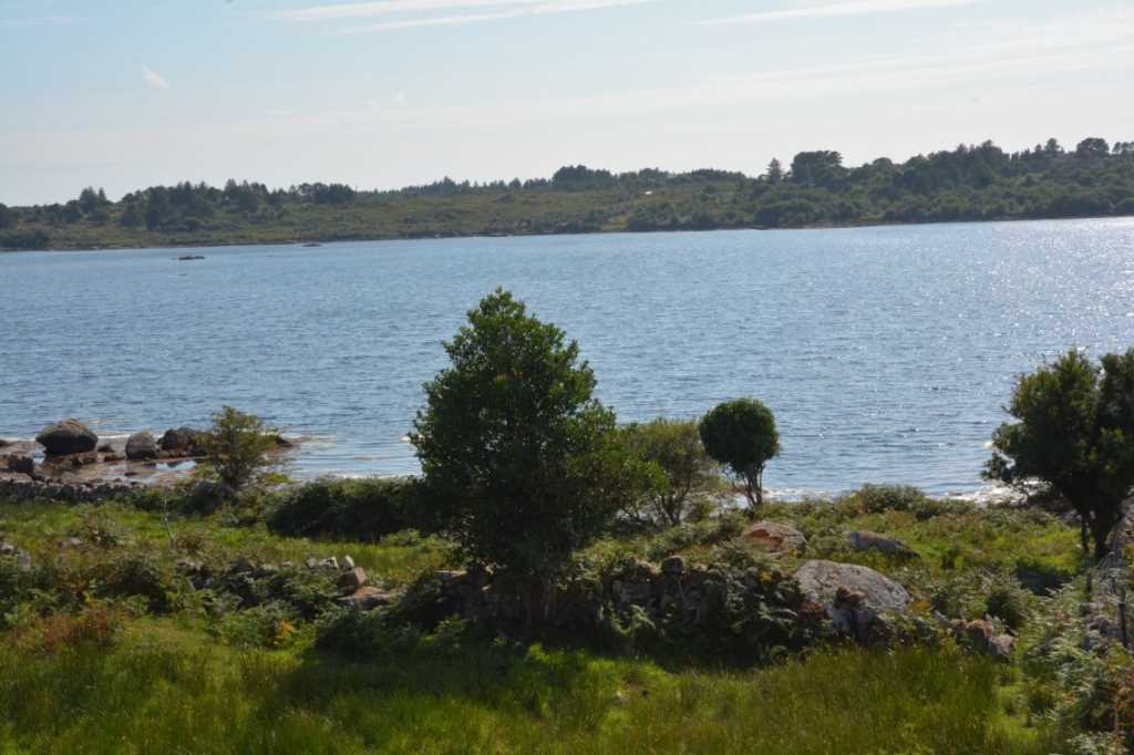 DSC_5747Mittel_.JPG